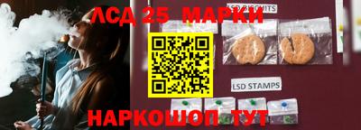 гидропоника Пушкино